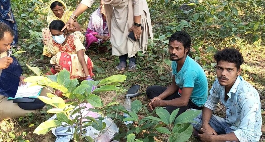 कोरबा :7 साल की मासूम बच्ची की जघन्य हत्या, तीन दिन से थी लापता,मिला शव,पुलिस ने संदेही का जारी किया पोस्टर